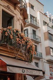 Balcony with flowers in the streets of Malaga, Spain. by Bodil de Jong
