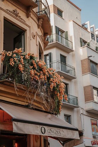 Balkon mit Blumen in den Straßen von Malaga, Spanien.