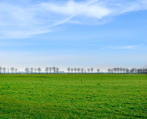 Landschaft in Groningen