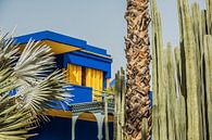 Jardin Majorelle in Marrakech, Marokko van Expeditie Aardbol thumbnail