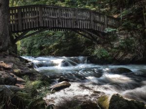 Oker Wildwasser auf der Liebesinsel