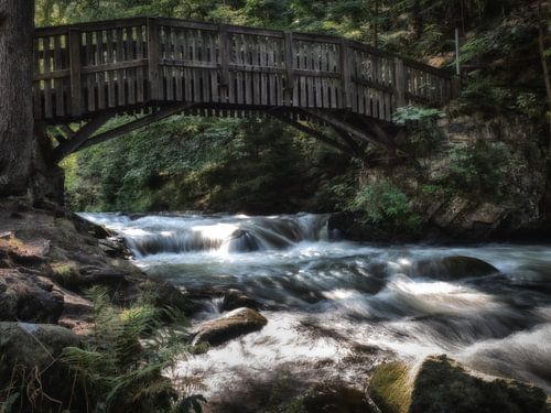 Oker Wildwasser auf der Liebesinsel