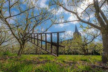 Ladder en kerk bij fruitbomen van Moetwil en van Dijk - Fotografie