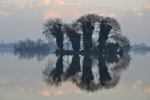 Reeuwijkse Plassen na de mist