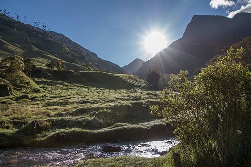 Wandelen in zonnig landschap langs rivier in de bergen