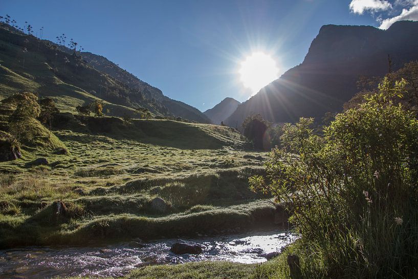 Wandelen in zonnig landschap langs rivier in de bergen van Romy Wieffer