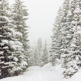 Wandern im Schnee von Marika Huisman fotografie
