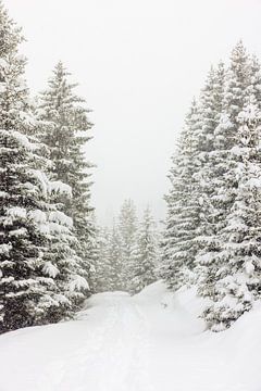 Wandelen in de sneeuw van Marika Huisman fotografie