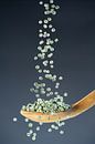 Green pepper - fresh spice in a delicate form by Photo Art Thomas Klee thumbnail