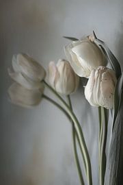 Tulipes aux couleurs pastel sur Japandi Art Studio