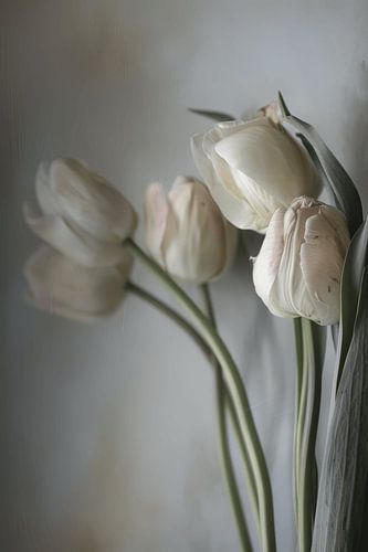 Tulpen in pastelkleuren