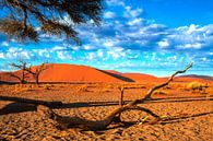 Afgebroken tak in de Sossusvlei, Namibië van Rietje Bulthuis thumbnail