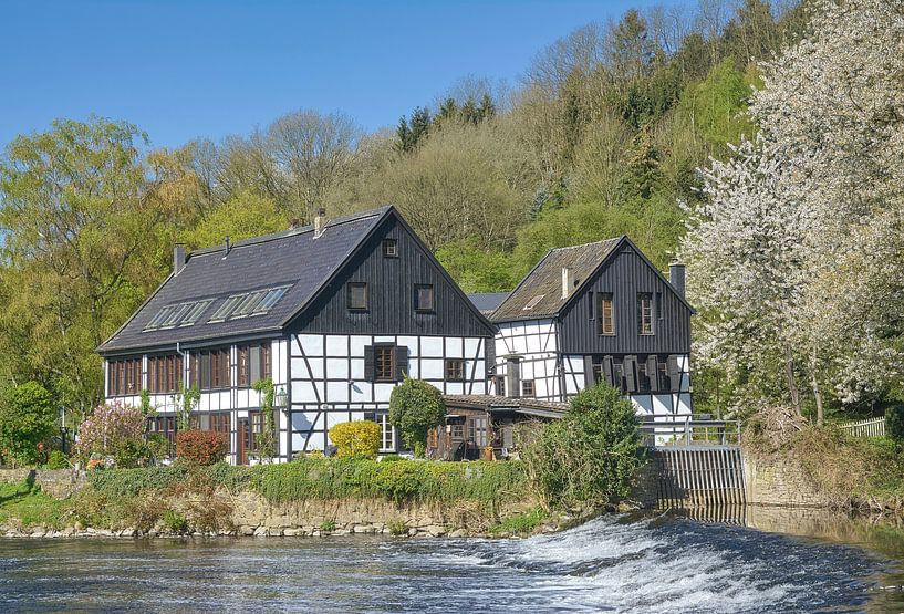 Frühling im Bergischen Land an der Wipperaue,Solingen von Peter Eckert