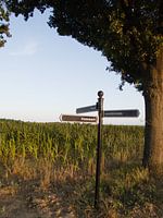 Signpost