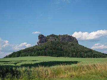 Uitzicht op de Lilienstein in het Elbezandsteengebergte van Animaflora PicsStock