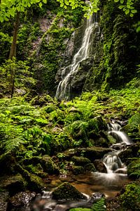 Burgbach Wasserfall im Schwarzwald, Sommer
