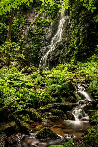 Burgbach waterval in het Zwarte Woud, zomer