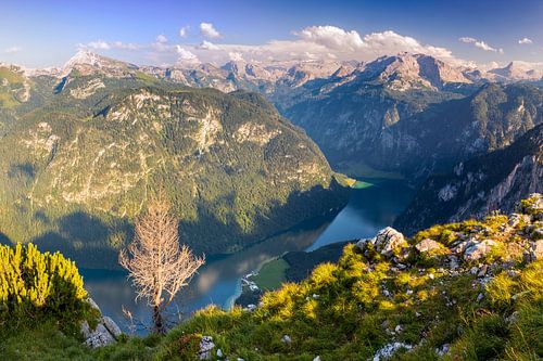 Uitzicht op Königsee met Bartholomä