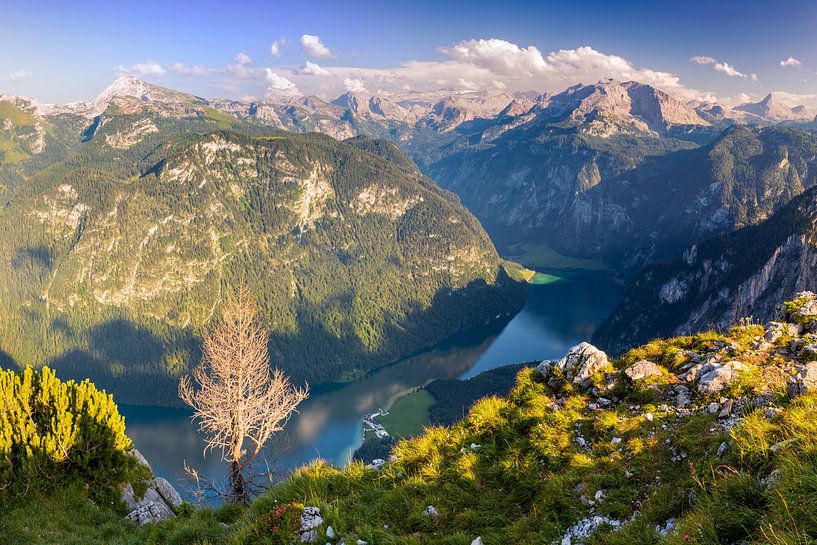 View of Königsee with Bartholomä by Dieter Meyrl