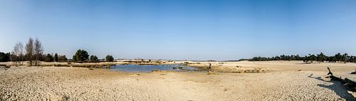 Loonse and Drunense dunes