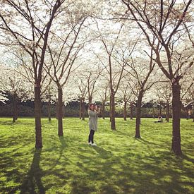 Jibit Ermin Profile picture