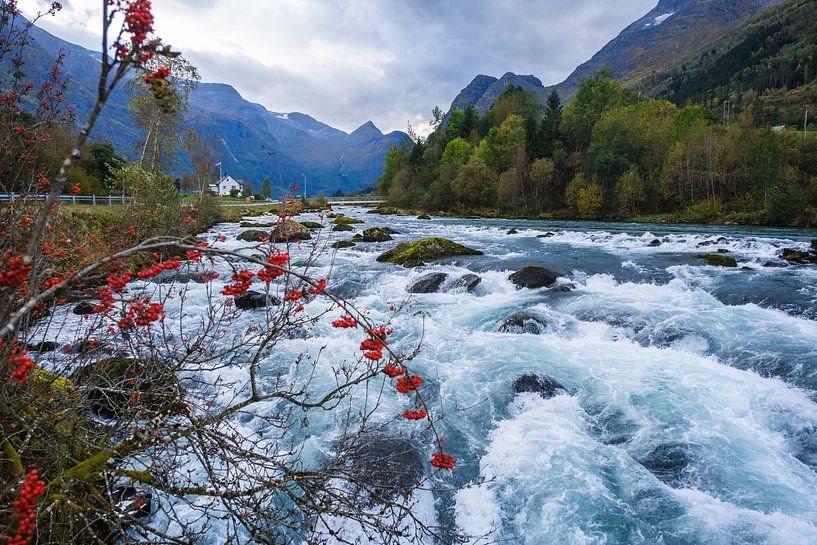 Wild water in het Oldedal van Joke Beers-Blom