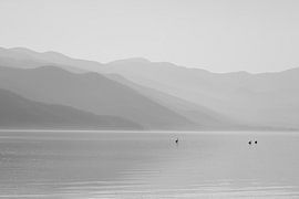 Dungeon Lake with Flamingos
