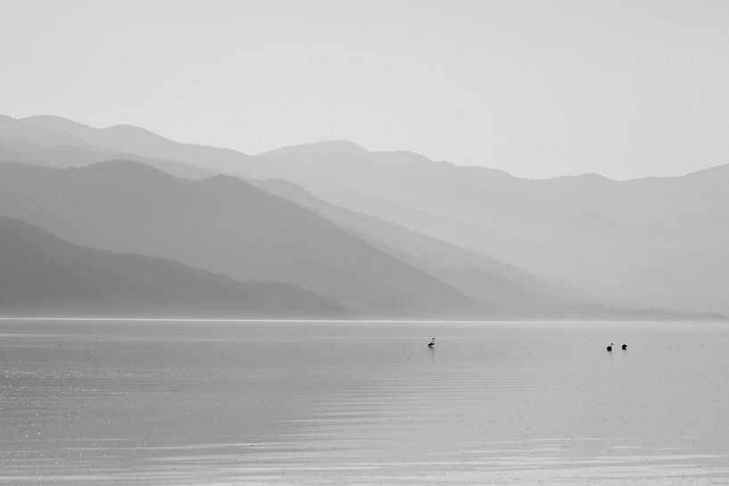 Dungeon Lake with Flamingos by Kars Klein Wolterink