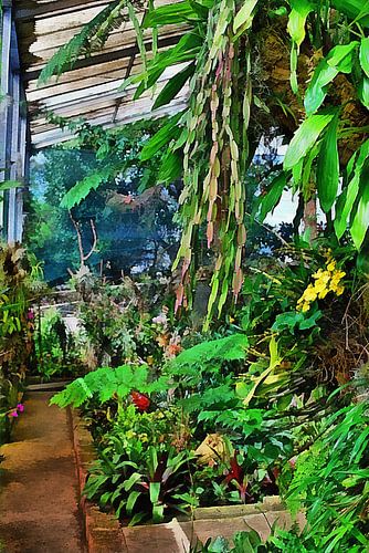 Orchideeënhuis Madeira 1