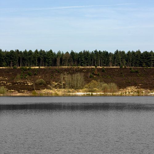 bosrand (vierkant)