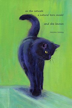 A natural born model Katzen Haiku Englisch