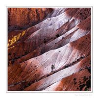 Bryce National Park USA