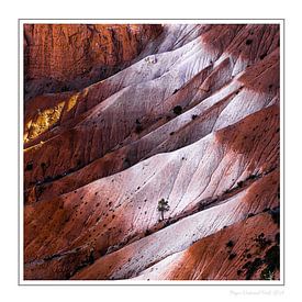 Bryce Nationalpark USA von John Sassen