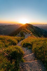 Hiking trail to the sunrise on the Hochgrat with a view of the Rindalphorn by Leo Schindzielorz