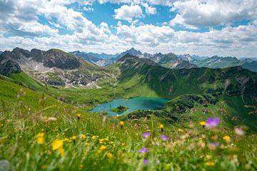 Blumige Sicht auf den Schrecksee und den Hochvogel in den Allgäuer Alpen von Leo Schindzielorz