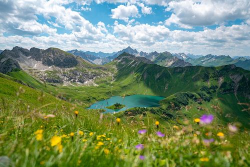 Bloemrijk uitzicht op de Schrecksee en de Hochvogel in de Allgäuer Alpen