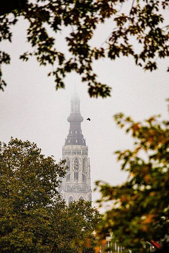 Doorkijkje Grote Kerk in de ochtendmist