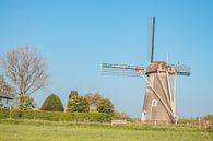 Windmühle in einer typisch niederländischen Landschaft | Die Kornblume in Zoelen von Wandeldingen Miniaturansicht