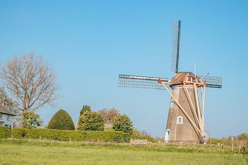 Windmühle in einer typisch niederländischen Landschaft | Die Kornblume in Zoelen