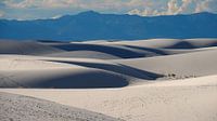 White Sands - New Mexico van Tonny Swinkels thumbnail