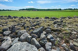 Steinmauer in schwedischer Landschaft