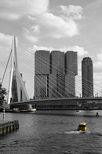 100% Rotterdam
