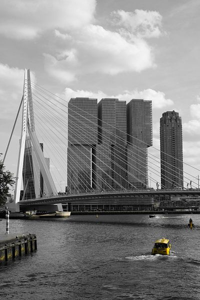 100% Rotterdam by Framed by Elisabeth