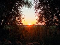 Zonsondergang tussen de bomen