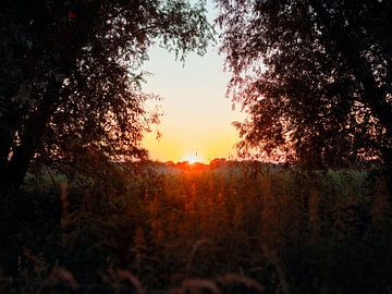 Zonsondergang tussen de bomen
