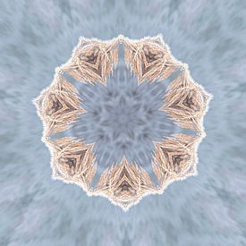 kaleidoscope nauur by Karin vanBijlevelt