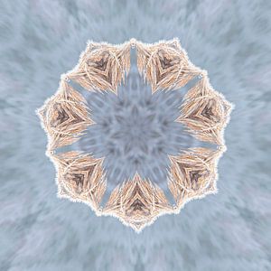 kaleidoskop nauur