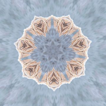 kaleidoskop nauur von Karin vanBijlevelt