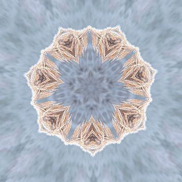 kaleidoscope nauur