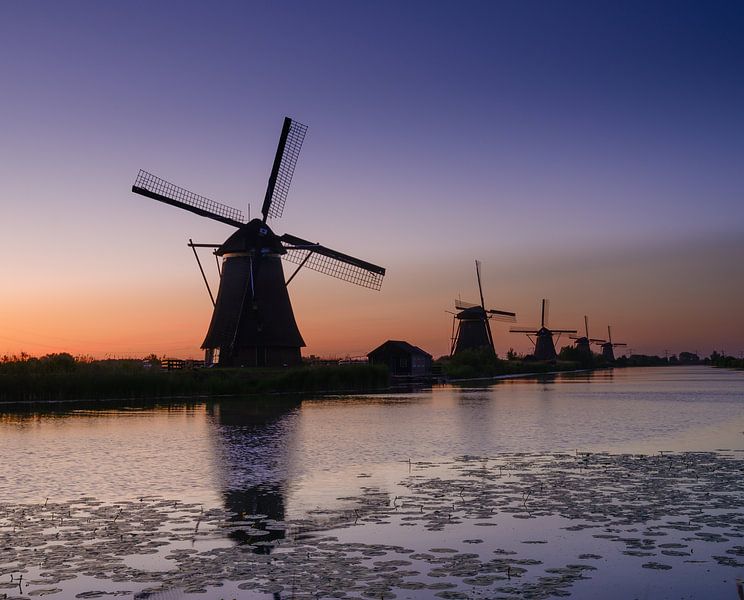 Die Windmühlen von Kinderdijk von Michel Knikker